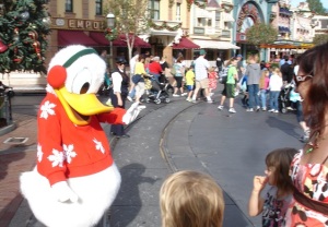Not even Donald Duck could get a wave out of the 'Dactyl.